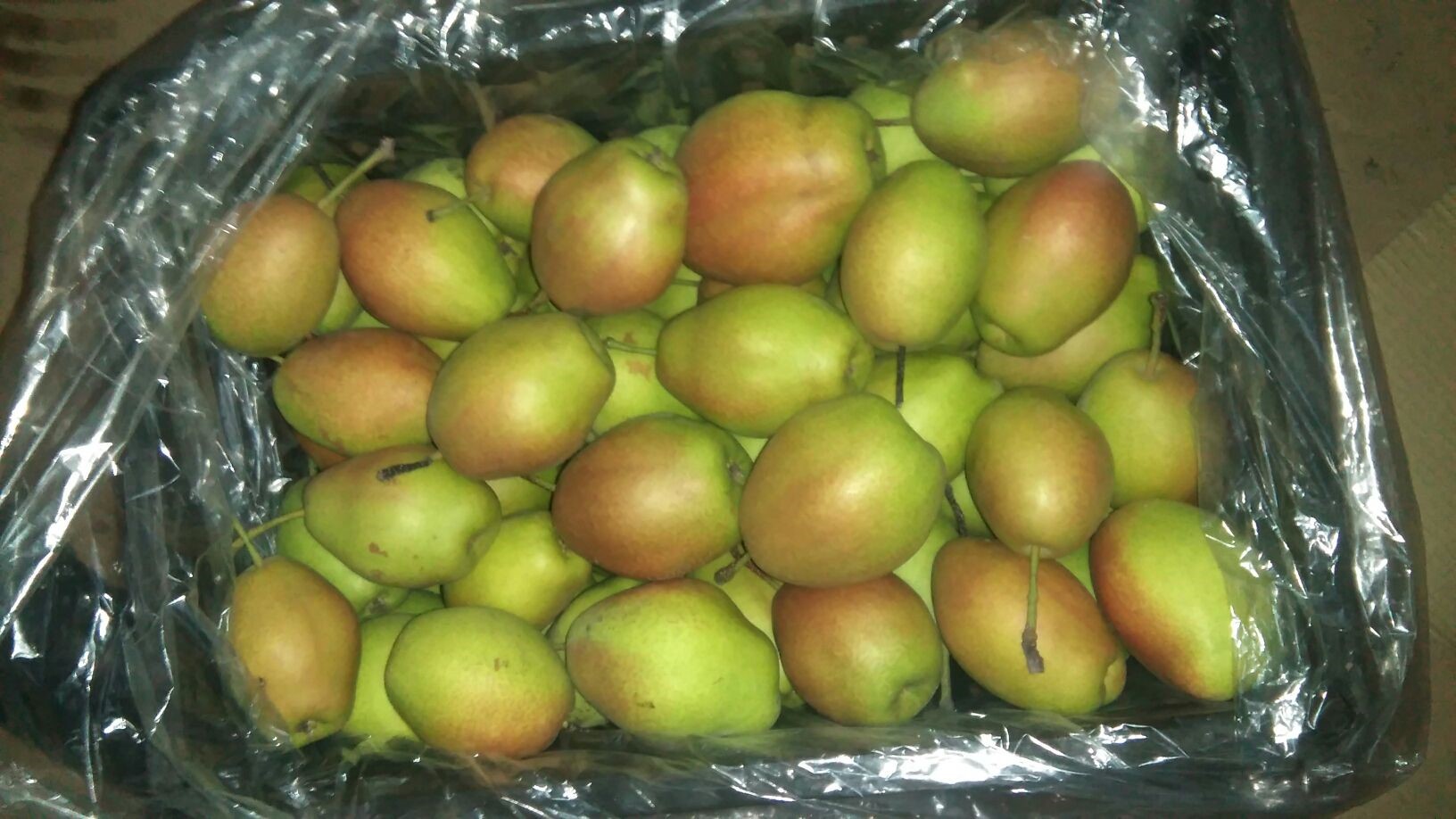 陕西夕阳红梨批发 陕西红香酥梨产地价格 红香酥梨基地价格