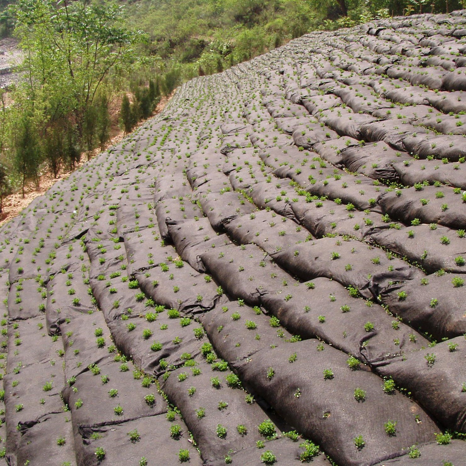 邊坡防護植草袋 土工布袋廠家 定做河道治理堤壩無紡布生態袋