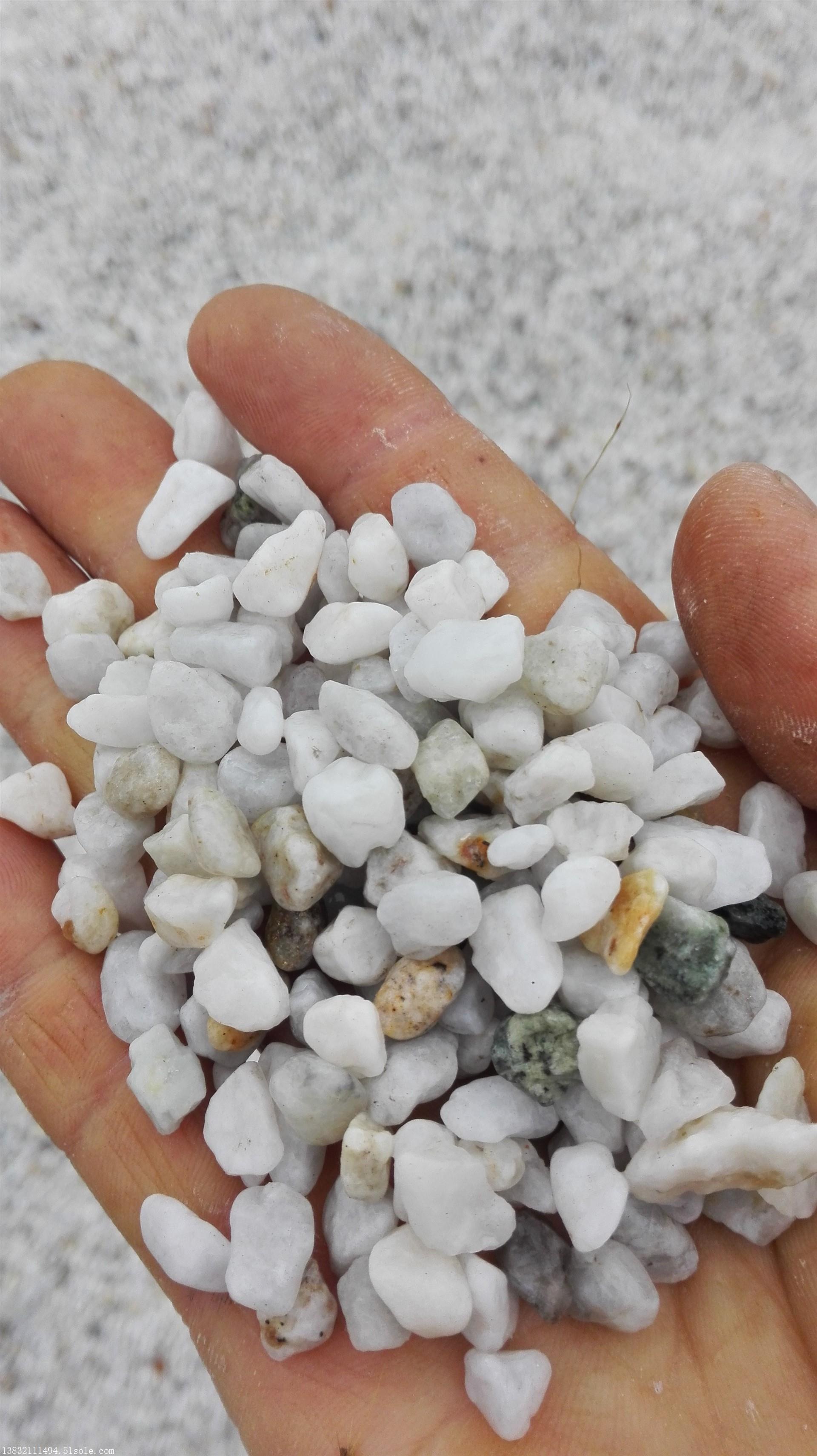 河北石家庄洗米石生产厂家 彩色洗米石价格