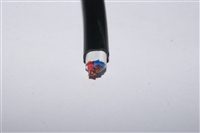 2芯2.5平方FS-ZR综合线 新能源汽车充电 护套线-中策电线电缆定制