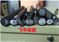 陕西汉中铝芯架空绝缘导线JKLYJ-1KV-50大量现货库存