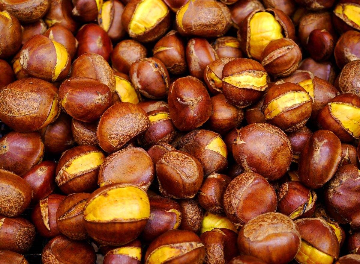 长沙可以学糖炒板栗技术,炒板栗培训