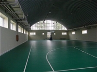 篮球场PVC地板，篮球场PVC地板价格，篮球场PVC地板批发